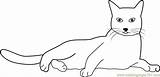 Coloring Cat Pages Isolated Lying Coloringpages101 Printable sketch template