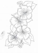 Lily Tiger Coloring Pages Getcolorings Flowe Flower sketch template