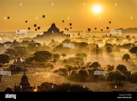 alberi silhouette tramonto  antichi edifici immagini  fotografie stock ad alta risoluzione alamy