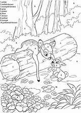 Number Coloring Color Disney Pages Numbers Printable Kids Printables Bambi Adults Colour Sheets Colouring Princess Worksheets Multiplication Rocks Adult Worksheet sketch template