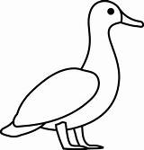 Duck Outline Clipart Clip Vector Cliparts Drawing Clker Duckling Rubber Goose Animal Simple Coloring Stencils Webstockreview Transparent Library Online Printable sketch template