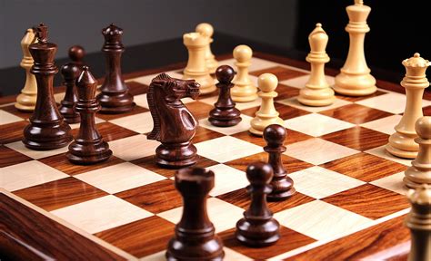 rising stars emerge   genius chess championship  guardian
