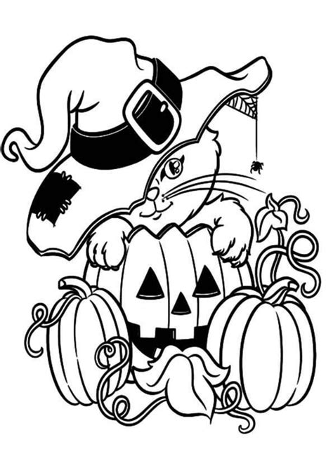 halloween cat  pumpkin coloring pages shaylee