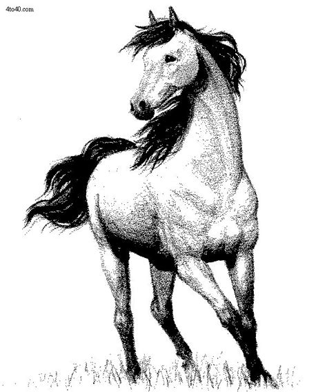 horses coloring pages horse coloring pages horse coloring