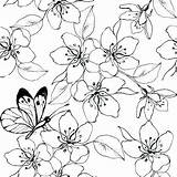 Cherry Blossom Coloring Pages Tree Japanese Flower Colouring Lovely Getcolorings Printable Blosso Japan Color Getdrawings Colorings sketch template