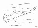 Coloring Shark Hammerhead Pages Printable Drawing Great Print Medium sketch template