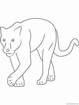 Panther Coloring4free sketch template