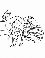 Camel Cart Arabian Coloring Drawing Outline Kids Pages Clipart Getdrawings Cute Paintingvalley sketch template