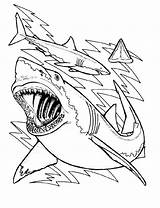 Shark Coloring Pages Leopard Usable Bestcoloringpagesforkids Via sketch template