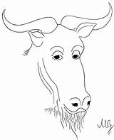 Gnu Philosophe Disegno Gnou Sourcils éveillée Espiègles Particulièrement Bookmark Filosofico sketch template