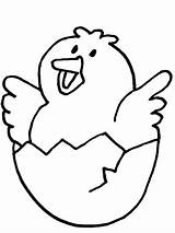 Coloring Chick Hatching Pages Chicks sketch template