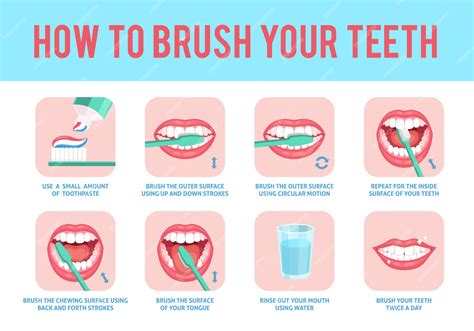premium vector   brush teeth correct tooth brushing education