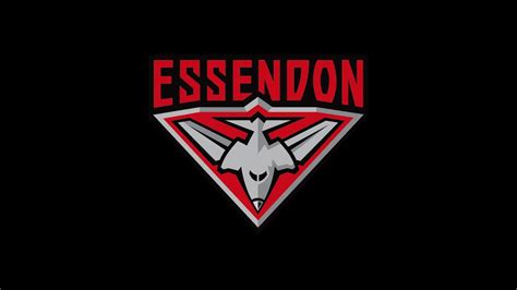 afl preview essendon bombers team guide findercomau