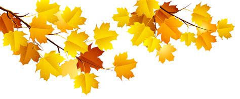 fall tree branch png clip art library