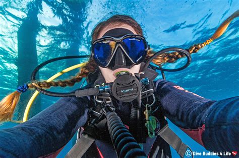 dealing  long hair  diving dive buddies  life