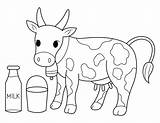 Cow Milk Coloring Printable Pages sketch template