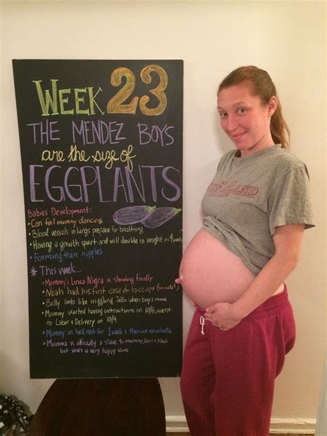 23 weeks pregnant with twins the maternity gallery