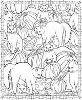 Dover Freebie Chats Publications Pumpkins Craftgossip Coloriages Doverpublications Sampler Zeichnungen Purr Fect Matin Lumineux Gazo sketch template