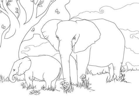 elephant family coloring page  print  color