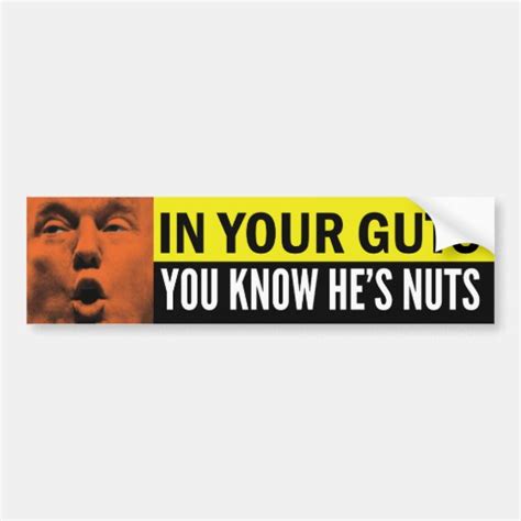 In Your Guts You Know He S Nuts Bumper Sticker Zazzle