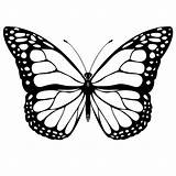 Butterfly Monarch sketch template