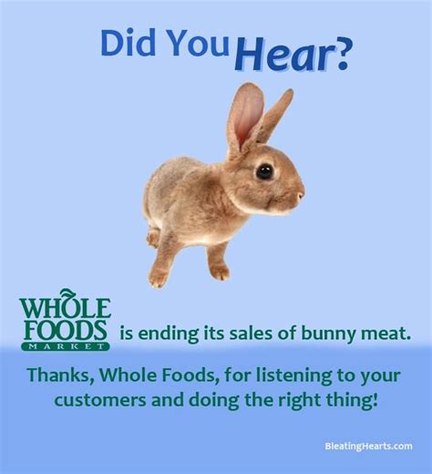 whole foods ends the sale of rabbit meat med bilder