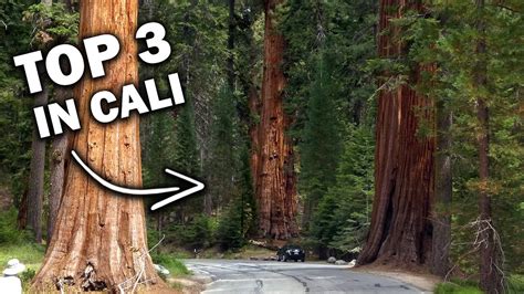 sequoia rv ranch sequoia national park youtube