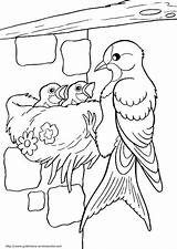 Coloring Pages Pasari Colorat Omalovánky Adult Bird Planse šablony Bezplatné řemesla Kresba Tužkou Skeče Color Drawing Choose Board Visit Drawings sketch template