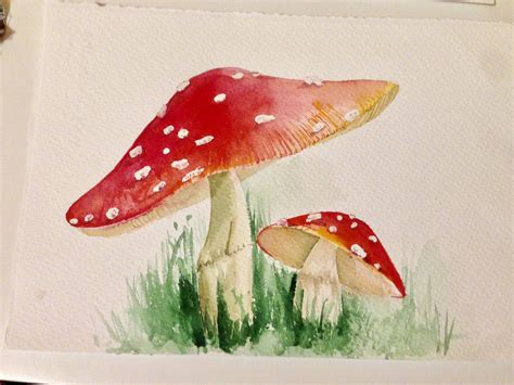 mushroom printed watercolor illustration art collectibles lithographs