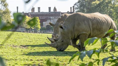 marwell zoo places   lets    children