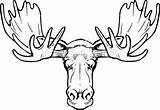 Moose Antlers sketch template