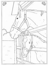 Kleurplaat Kleurplaten Manege Paarden Ausmalbilder Paard Stall Pferde Reitschule Moeilijk Mandala Je Altijd Eerst Leukste Vind Bezoeken Animaatjes sketch template