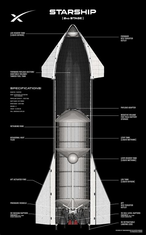 cutaway schematic  spacex starship interior  tom dixon human mars