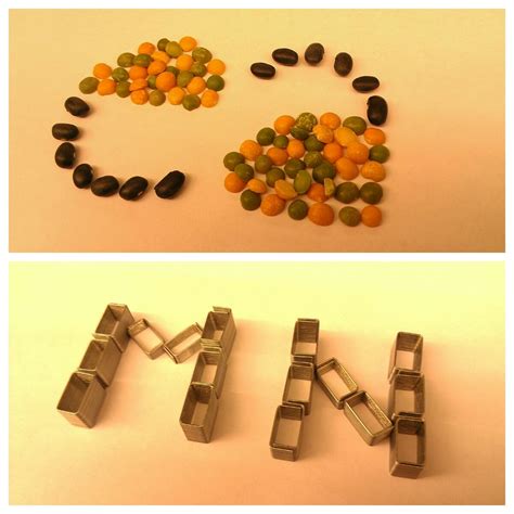 beans  staples staples beans letters letter lettering beans