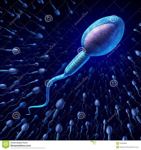 human sperm cell stock images image 34559884