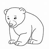 Coloring Baby Bear Pages Animal Polar Cub Animals Kids Color Thecolor Popular Farm sketch template