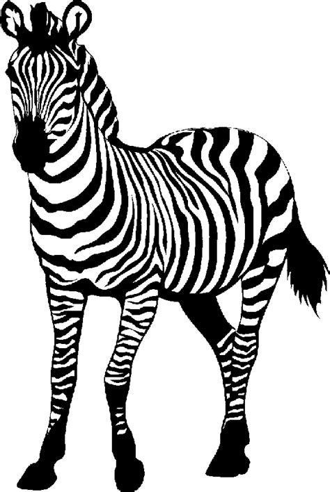 zebra coloring pages zebra zebra coloringpages activites de couleur