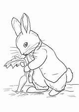 Rabbit Carrots Stealing Colorare Beatrix Hase Ausmalbilder Supercoloring Ausmalbild Coniglio Kaninchen Printables Malvorlagen Lapin Ostern Borduurwerk Niedliches Malvorlage Incantevole Coloriage sketch template