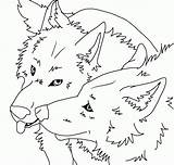 Wolf Wolves Lineart Wolfblood Rhydian Maddy Coloringhome They Winged Attentive Kid Coloring Coloringfolder sketch template