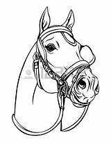 Bridle Horse Drawing Getdrawings sketch template