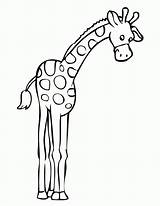 Coloring Giraffe Tall Pages Clipart Drawing Template Cartoon Head Printable Face Cute Very Panda Getdrawings Clipartmag Choose Board Easy sketch template
