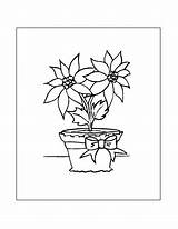 Coloring Rocks Pages Flower Pot sketch template