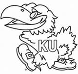Jayhawk Coloring Pages Kansas University Jayhawks College Crafts Sketch Beloved Madness State March Marchmadness Basket School Prep Sketchite Templates Painting sketch template