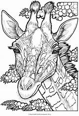 Coloring Pages Giraffe Animal Adult Book Adults Printable Animals Wild Colouring Books Color Creative Haven Portraits Kids Dover Men Print sketch template