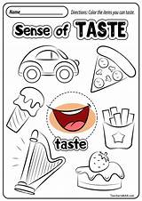Senses Teachersmag Worksheet Preschoolers Chip Cookies Sentidos Ingles sketch template