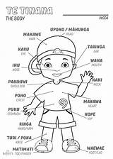 Maori Activities Words Preschool Te Kids Language Resources Reo Week Designs Choose Board Lesson Plans Koha Learning sketch template