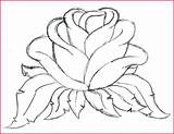 Drawing Traceable Drawings Trace Tracing Rose Printable Paintingvalley Getdrawings sketch template
