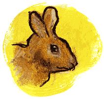 de telegraaf  chinese horoscoop het konijn