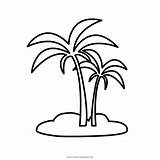 Palme Palma Malvorlage Disegni Palmeira Coloring Palmen Insel Kinderbilder Kostenlos Ultracoloringpages sketch template