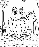 Toad Toads Cool2bkids Coloringbay Frog sketch template